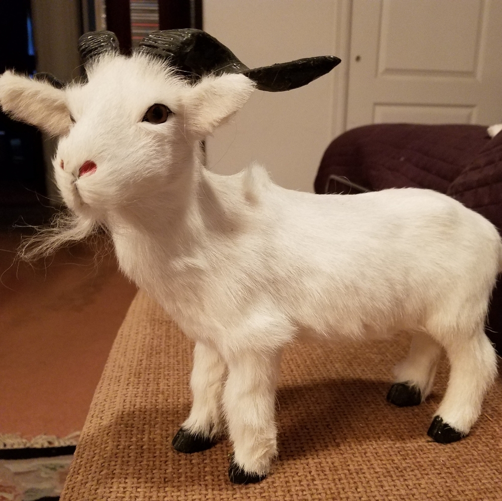 Beautiful realistic fur covered goat